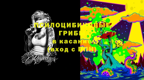 apvp Алзамай