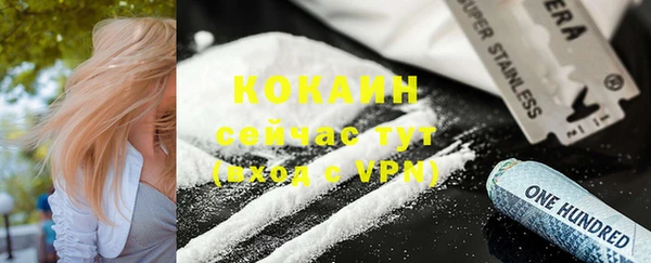 твердый Алексин
