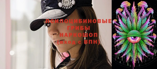 apvp Алзамай