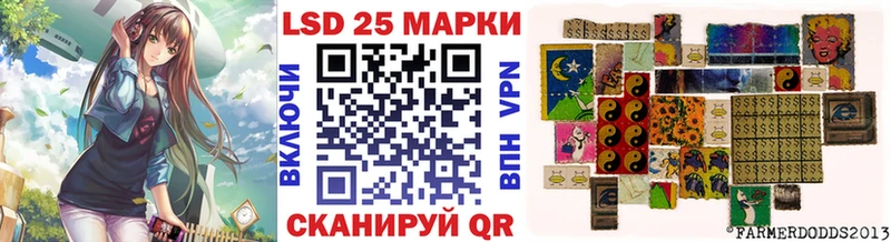 OMG ONION  Чайковский  Марки N-bome 1,5мг 