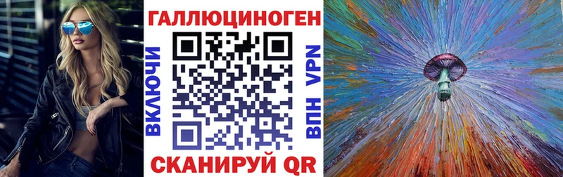 darknet Telegram  Чайковский  Псилоцибиновые грибы GOLDEN TEACHER  продажа наркотиков 